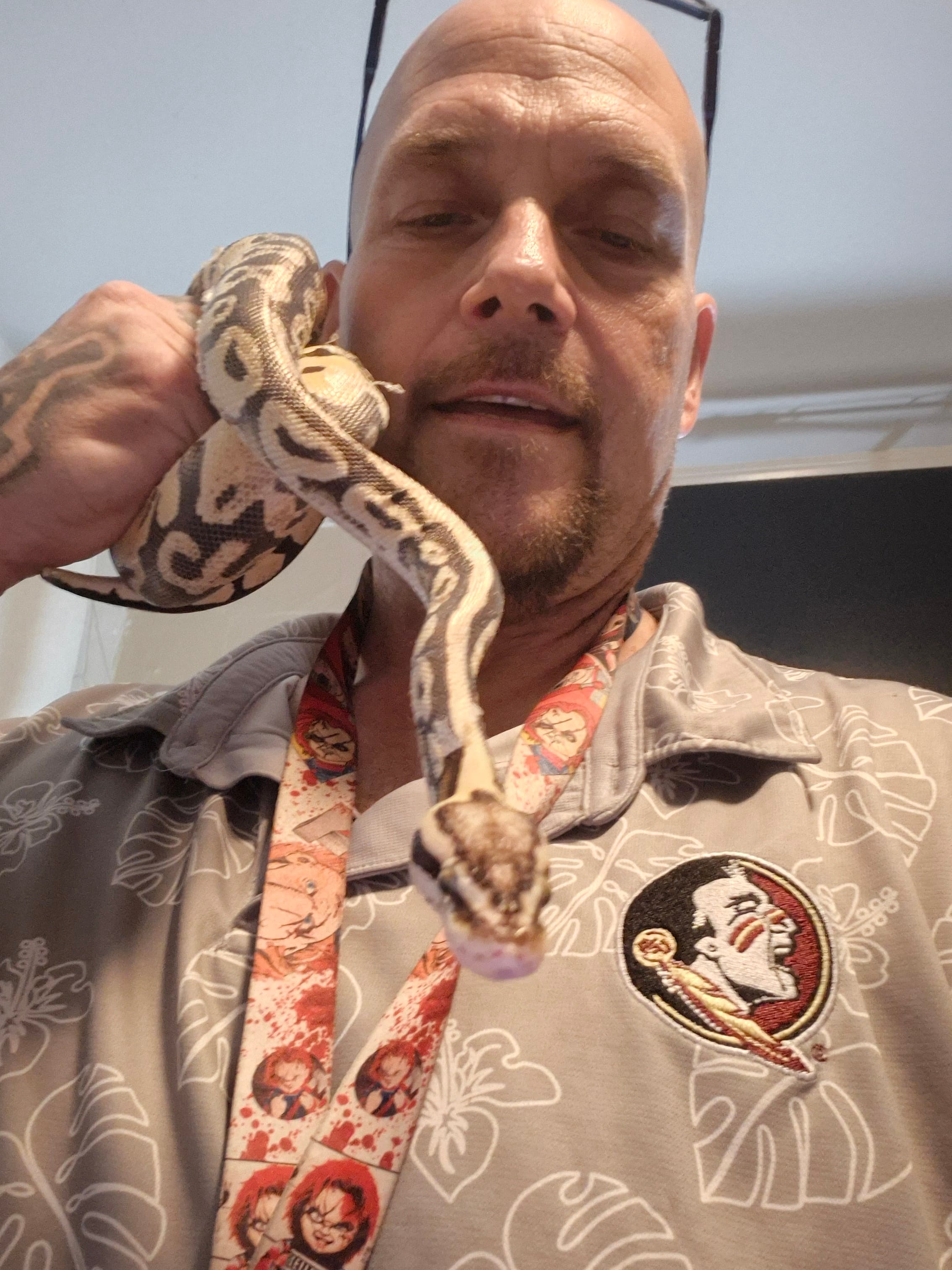 Female Ball Python in Tallahassee, Florida